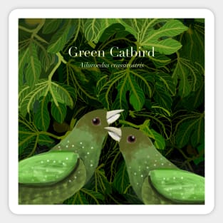 Green Catbird (text) Sticker